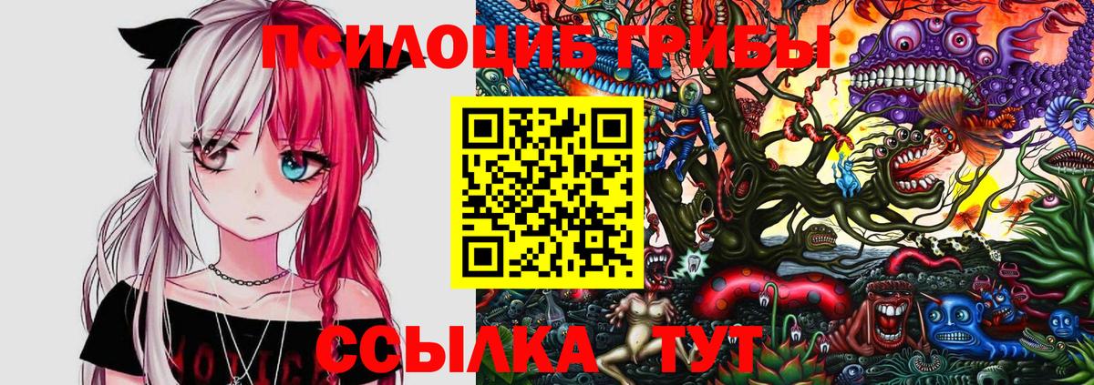 Псилоцибиновые грибы Psilocybine cubensis Нягань